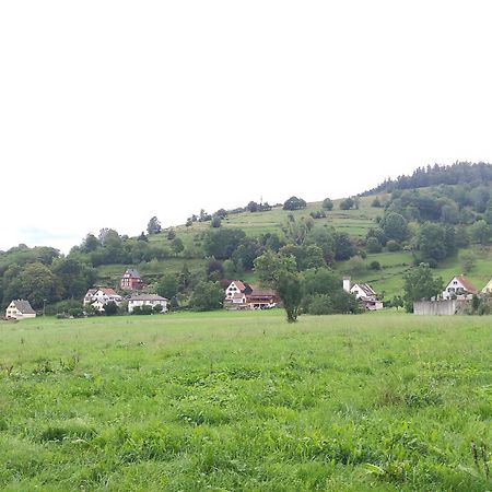 Les Studios Du Frankenthal Stosswihr 외부 사진