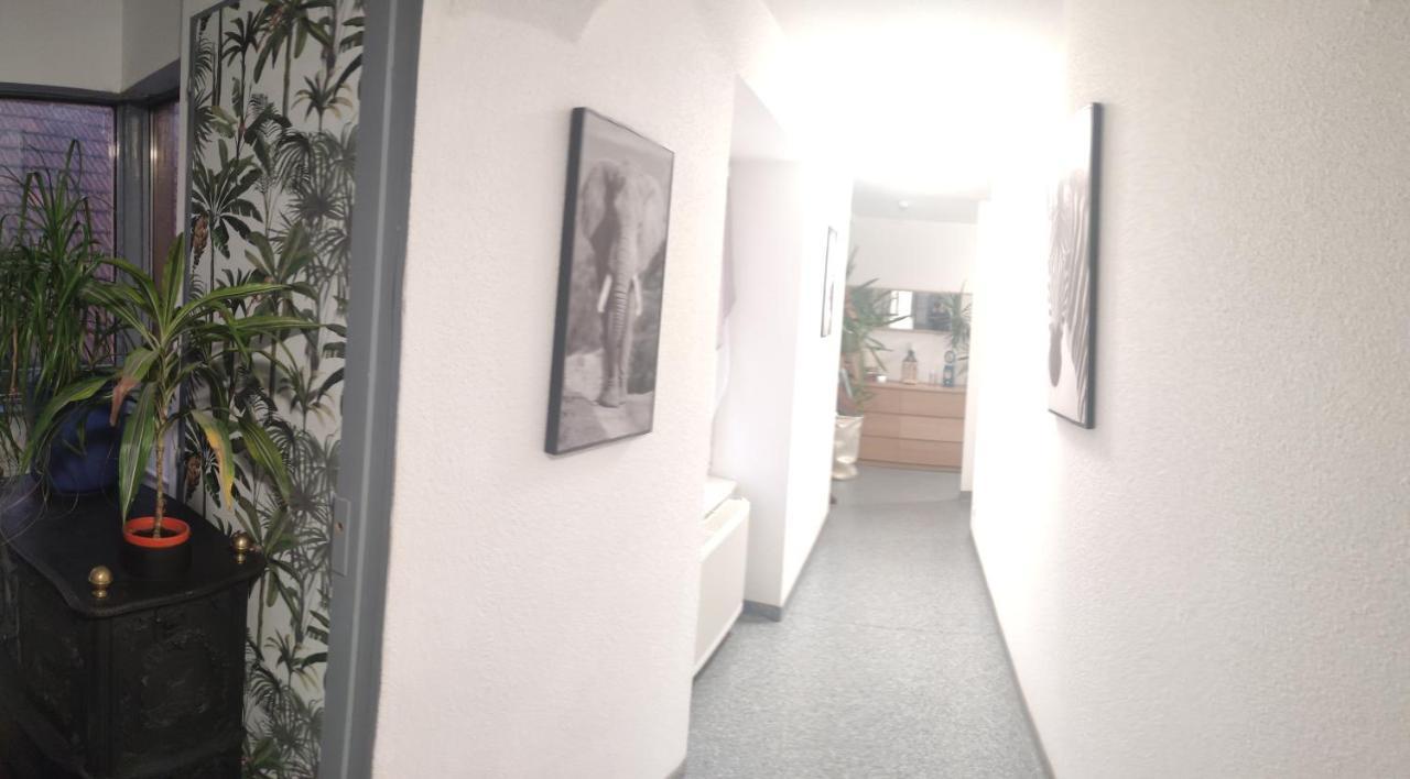 Les Studios Du Frankenthal Stosswihr 외부 사진