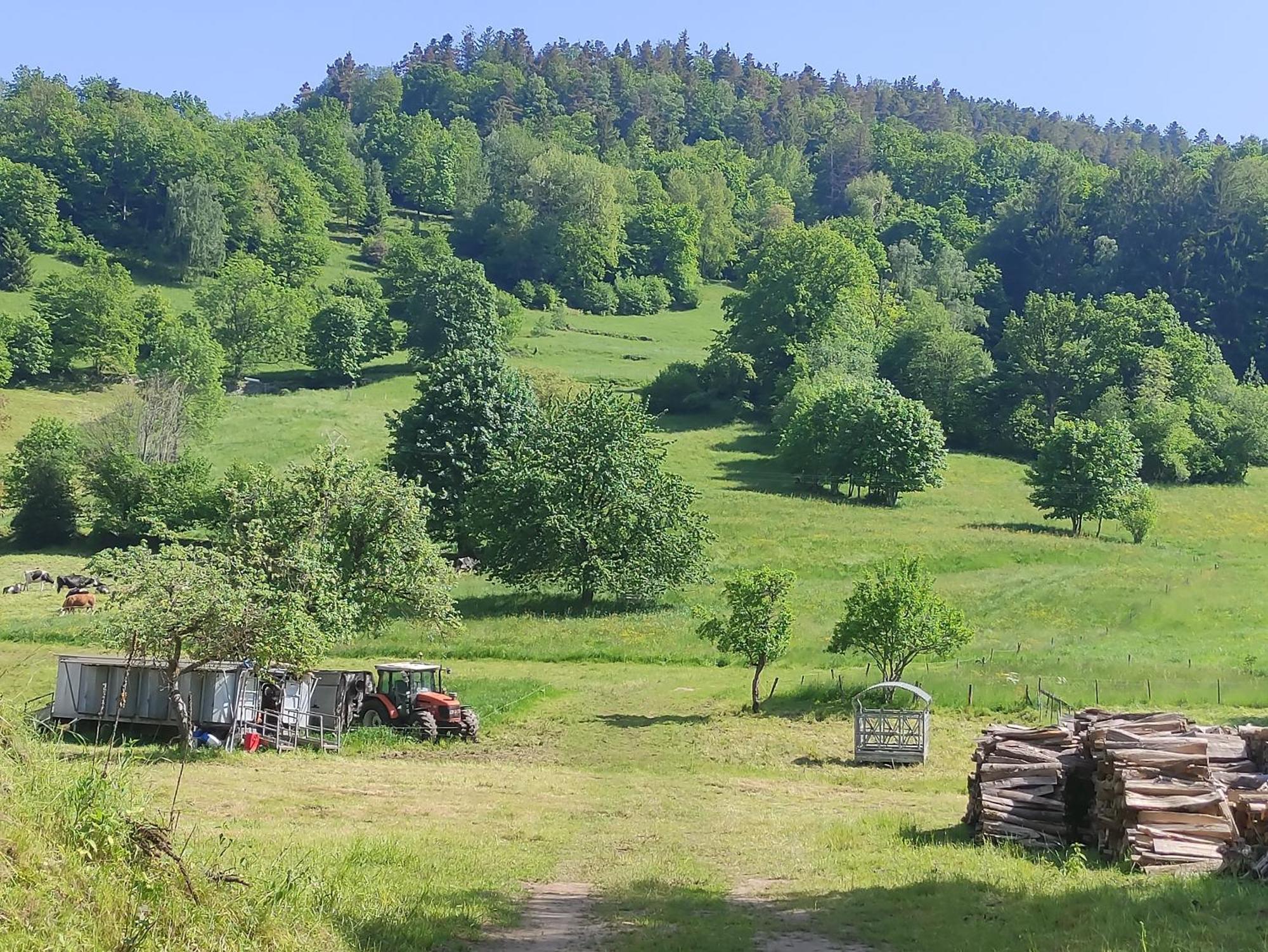 Les Studios Du Frankenthal Stosswihr 외부 사진