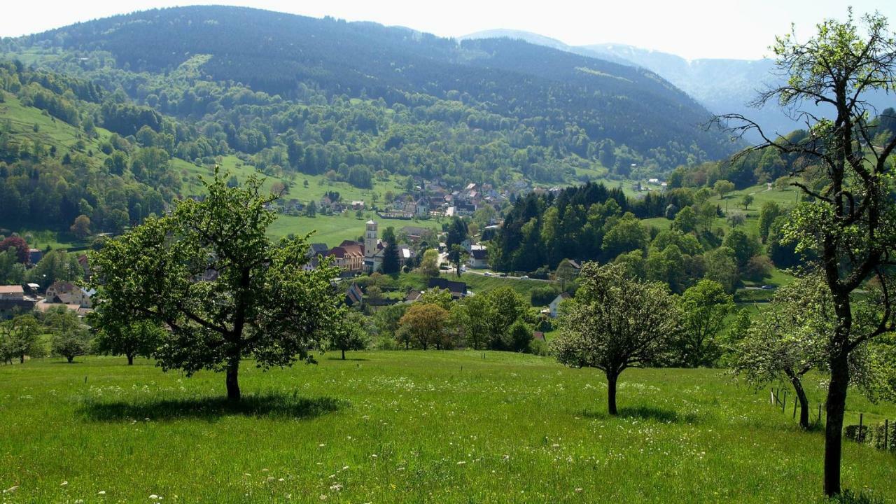 Les Studios Du Frankenthal Stosswihr 외부 사진